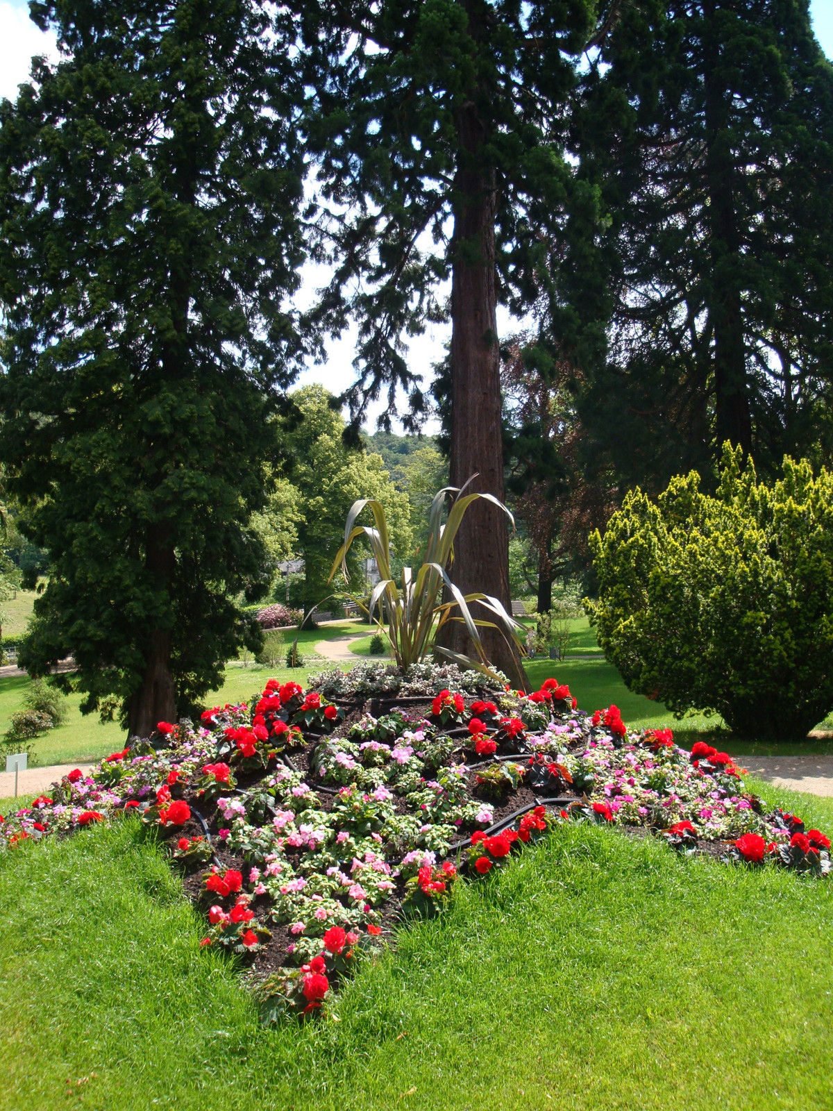 Drachenburg